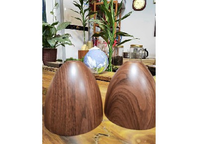 水轉印粉末涂料 (10)